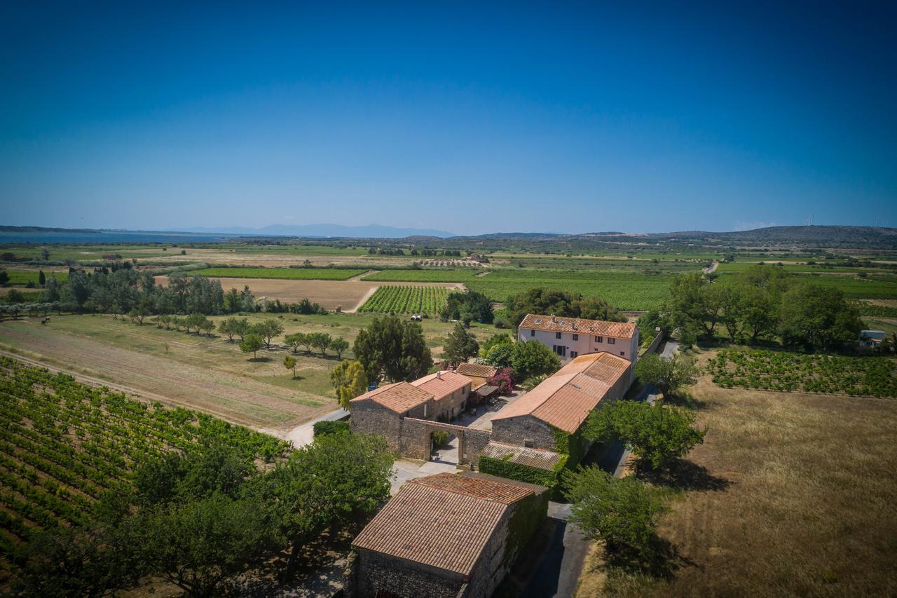 Les Fenals Villa Fitou Dış mekan fotoğraf