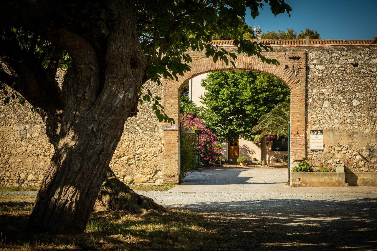 Les Fenals Villa Fitou Dış mekan fotoğraf